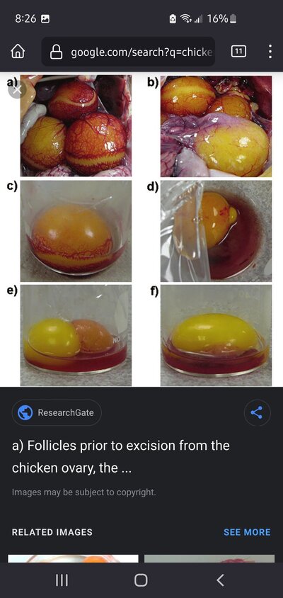 Screenshot_20230830-202602_Firefox.jpg