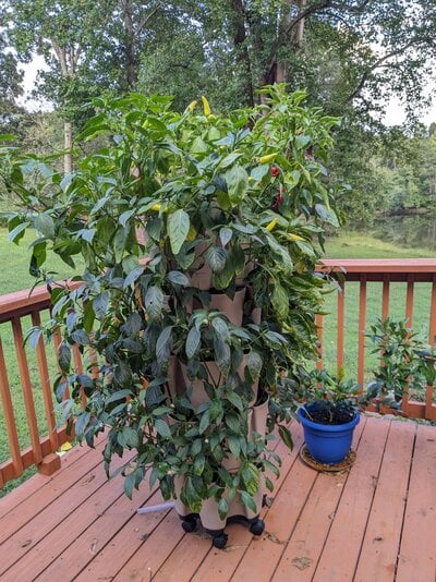 image000000(10).jpg