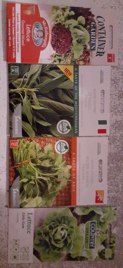 Leafy greens for the critters.jpg
