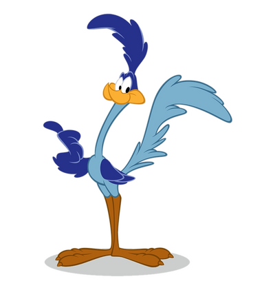 Road-runner.png