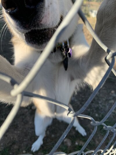IMG_2749.jpeg