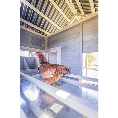 Zylina Walk-In Chicken Coop2.jpg
