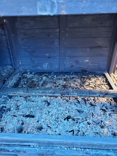 small coop inside.jpg