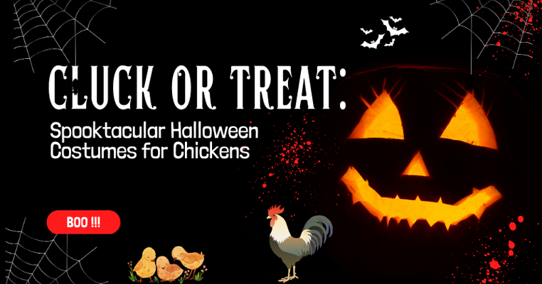 Cluck or Treat: Spooktacular Halloween Costumes for Chickens