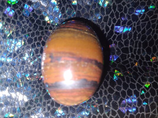 20231017_175118.jpg