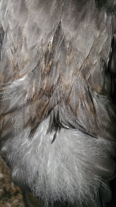 20231019_064750.jpg
