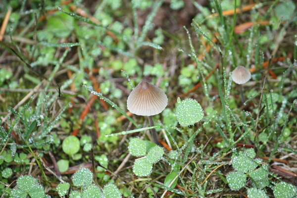 IMG_3015 copy.JPG