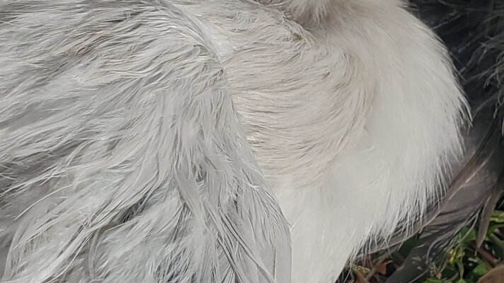 20231022_102455.jpg