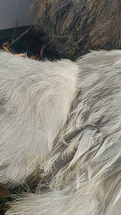 20231022_102432.jpg