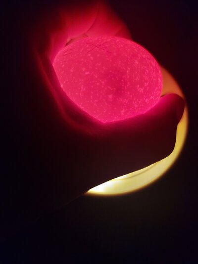 20231022_194034.jpg