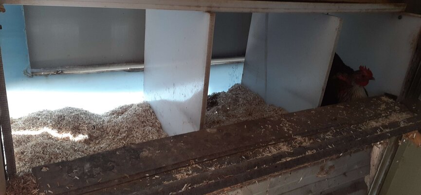 Chicken coop.jpg