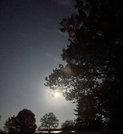 IMG_3622.jpeg
