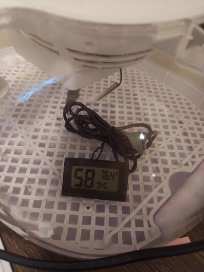 20231028_173048.jpg