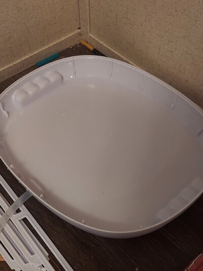 20231028_172445.jpg
