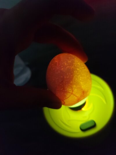 20231101_171451.jpg