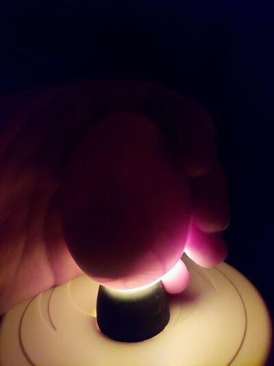 20231101_210624.jpg