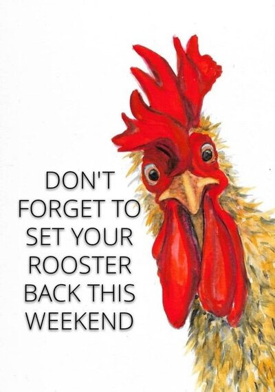 ROOSTER.jpg