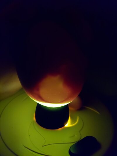 20231104_003714.jpg
