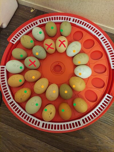 110423 Eggs.jpg