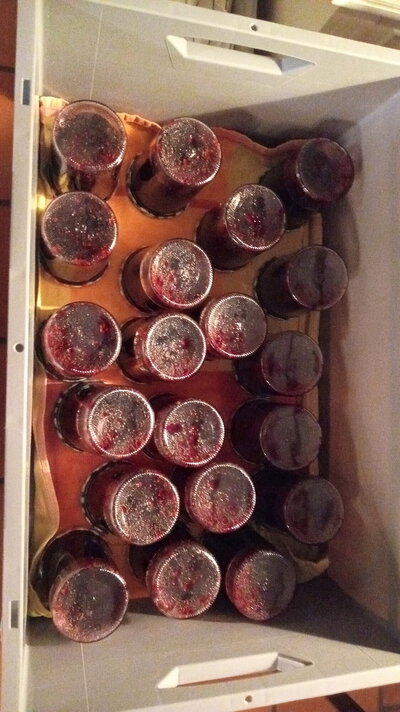 IMG-20231105-WA0009.jpeg