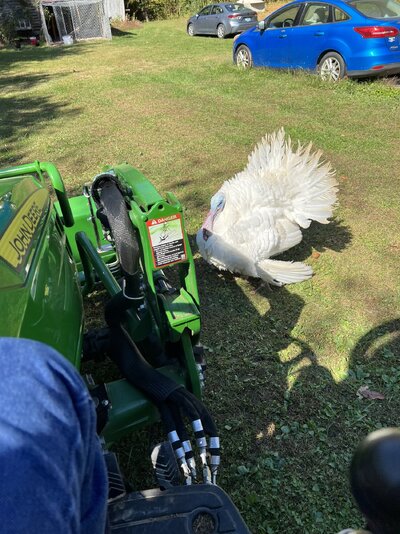 IMG_2056.jpeg