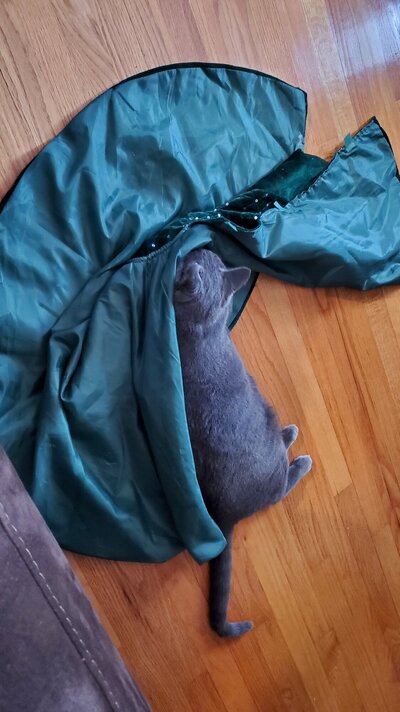20231203_084919.jpg 20231203_084919.jpg