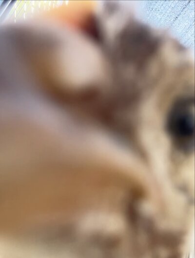 ADA14CC0-F3E4-4030-AFC6-633A0BA51E5D.jpeg