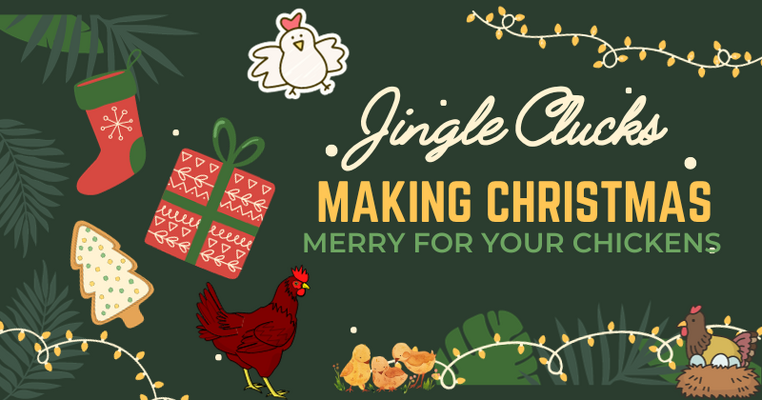 Jingle Clucks: Making Christmas Merry for Your Chickens