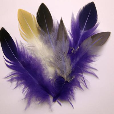 A picture with feathers (1).jpg