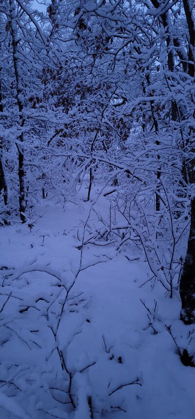 20240110_075805.jpg