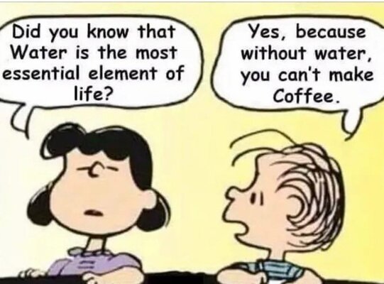 peanuts coffee.jpg