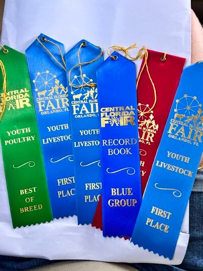 Showing Youth Poultry: The weeks leading up to a show