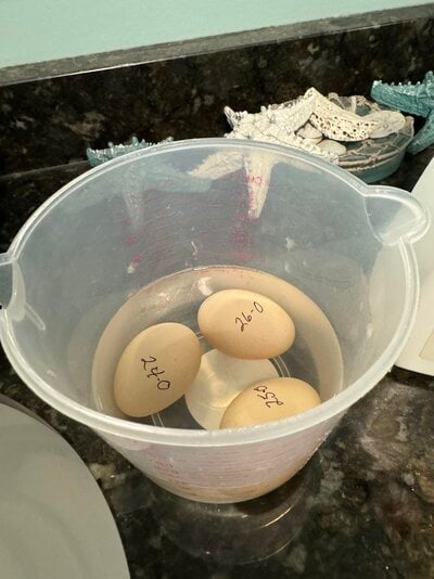 soaking odoban eggs.jpg