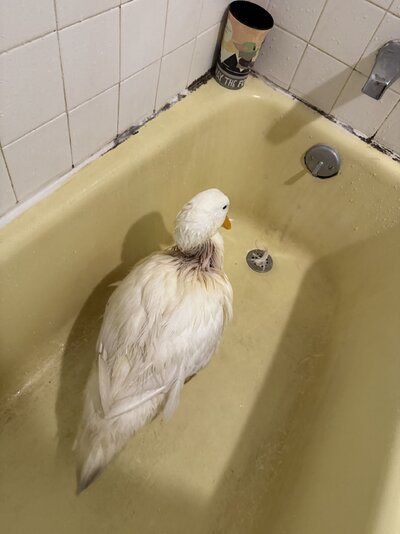 IMG_0503.jpeg