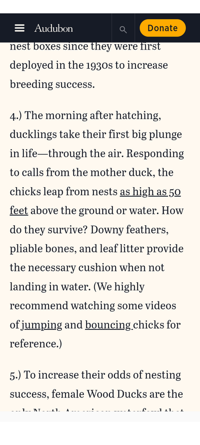 Screenshot_20240206-110451.png