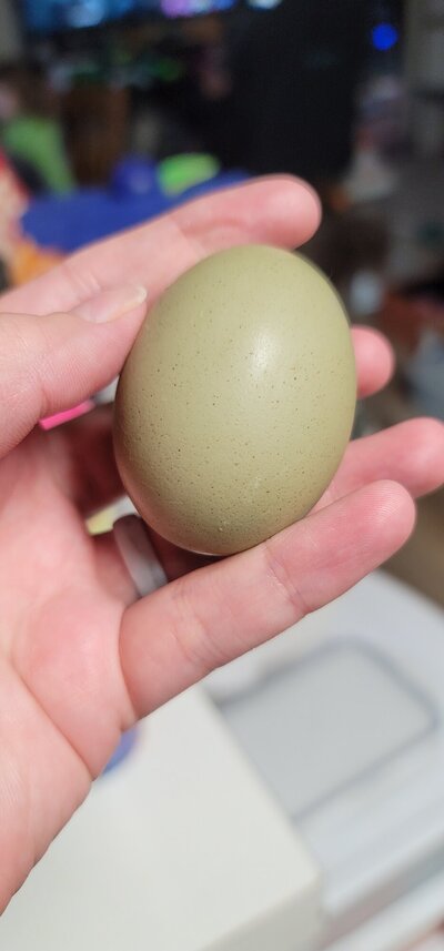 20240206_165300.jpg