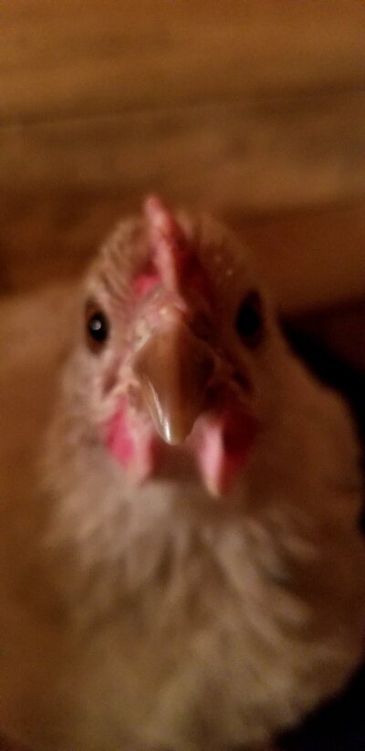 20240122_130046.jpg