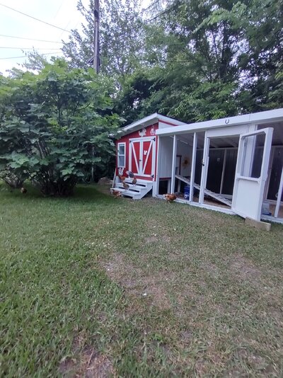 IMG_20230531_195210970_HDR.jpg