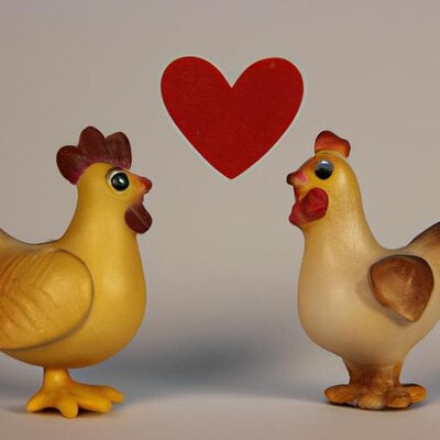 A hen and rooster in love on valentines day (1).jpg