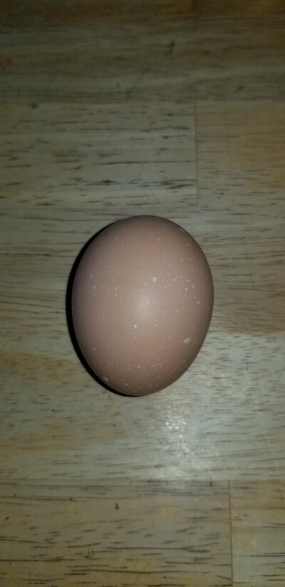 20240218_164803.jpg