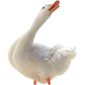 1709419913369.png