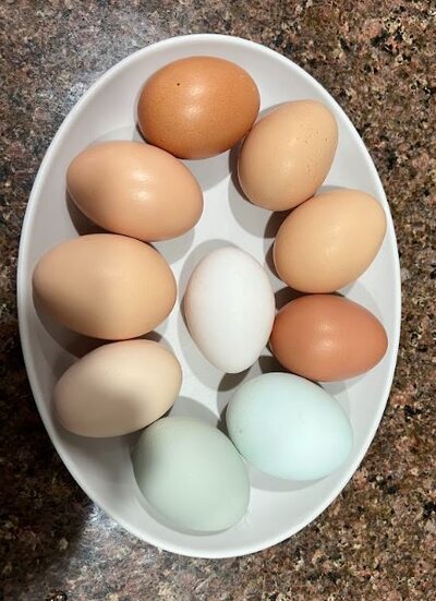 eggs.JPG