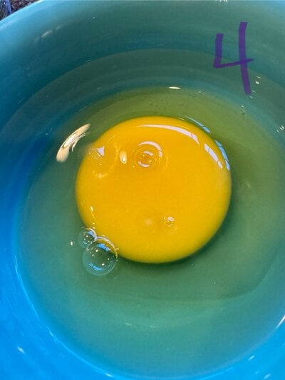 egg 4 cracked.jpg