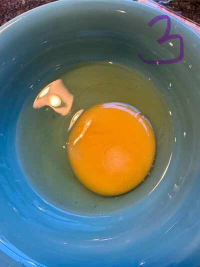 egg 3 cracked.jpg