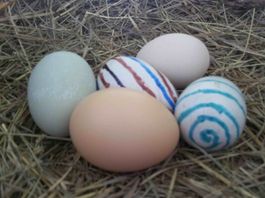 Decorated Nest Eggs.jpg