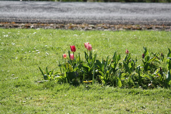 IMG_3640.JPG