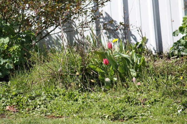 IMG_3645.JPG