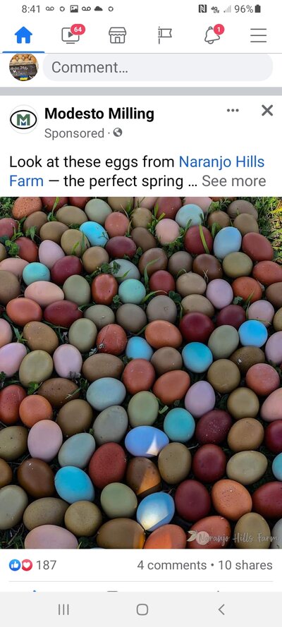 Screenshot_20220604-084122_Facebook.jpg