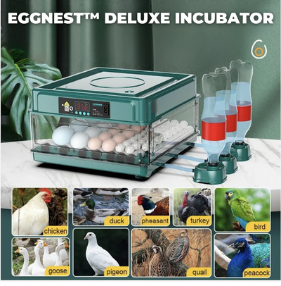 incubator.png