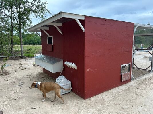 chicken coop009.jpg